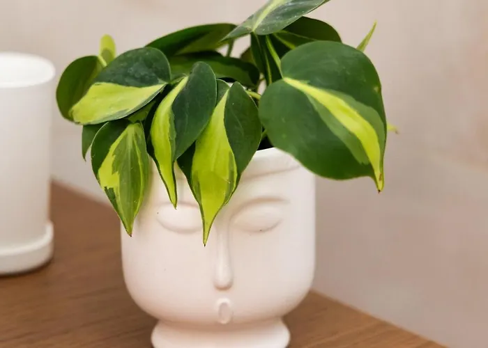 Appartamento Feadra Studio, A Cozy Nest Close To The Beach!